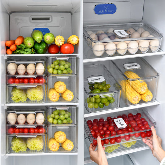 Transparent Refrigerator Storage Box – Food Preservation Container with Lid