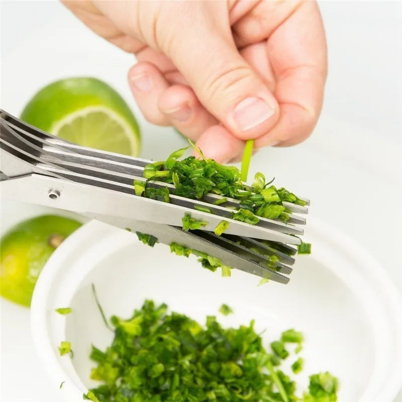 Multifunctional Stainless Steel Green Onion & Herb Scissors – 5-Layer Kitchen Cutter