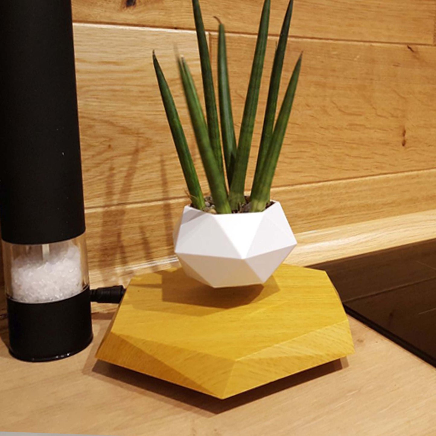 Floating Magnetic Levitating Flower Pot – Modern Air Plant Planter